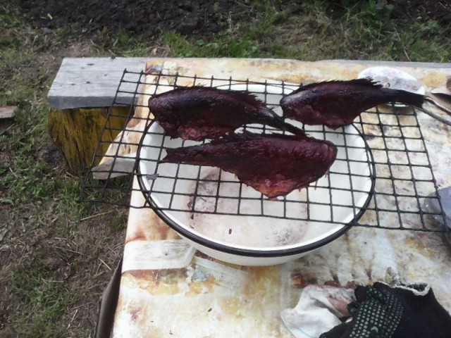 Глеб Кургузов, Россия, Москва. Фото на сайте ГдеПапа.Ру