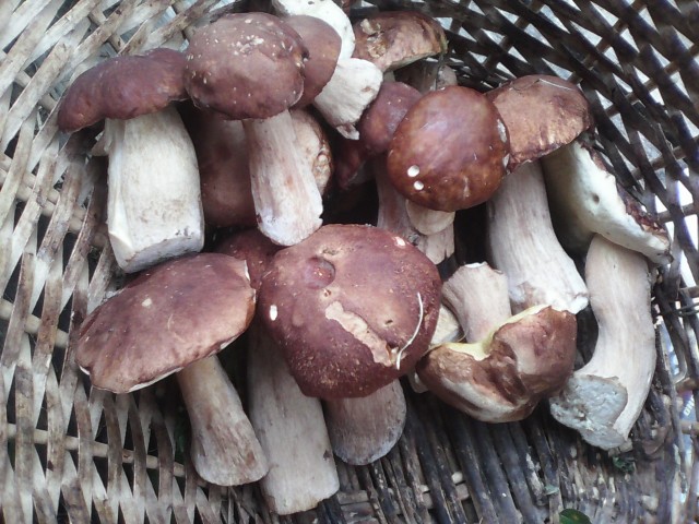 Глеб Кургузов, Россия, Москва. Фото на сайте ГдеПапа.Ру