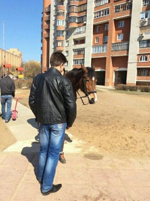 Роман, Россия, Москва. Фото на сайте ГдеПапа.Ру