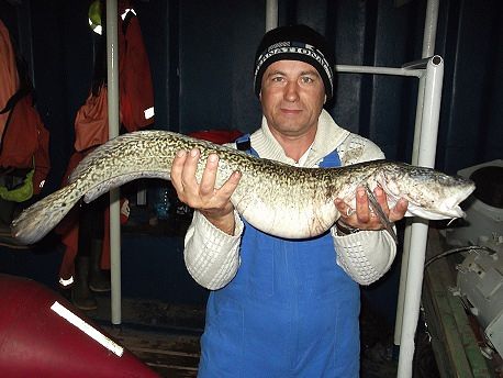 владимир, Россия, Геленджик. Фото на сайте ГдеПапа.Ру