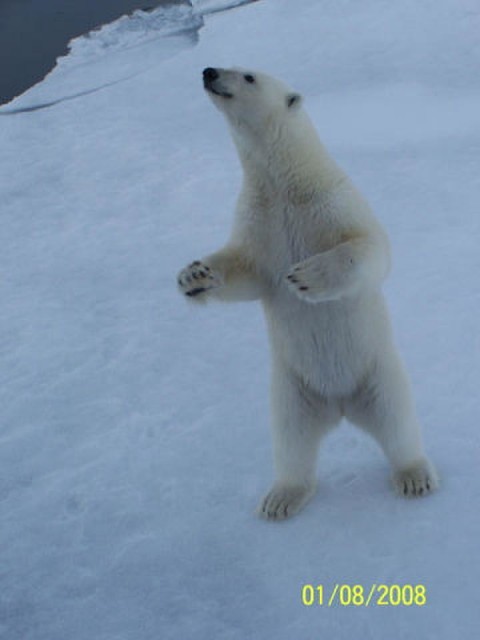владимир, Россия, Геленджик. Фото на сайте ГдеПапа.Ру