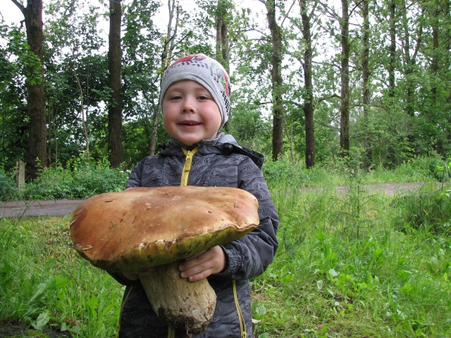 А вот такой гриб растет в поселке Солнечном)))..