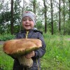 А вот такой гриб растет в поселке Солнечном)))..