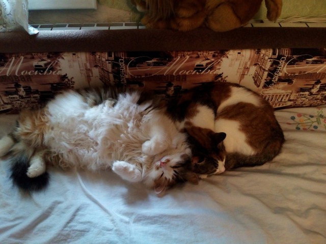 Наталия, Россия, Санкт-Петербург. Фото на сайте ГдеПапа.Ру