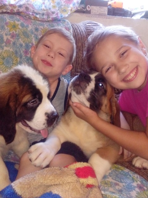 Александра, Россия, Краснодар. Фото на сайте ГдеПапа.Ру