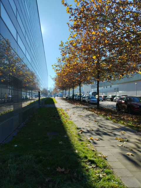 pavel, Германия, Мюнхен. Фото на сайте ГдеПапа.Ру