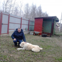 Константин Гатман, Россия, Коломна, 49 лет
