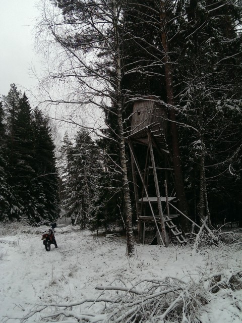 Зимние покатушки в лесу