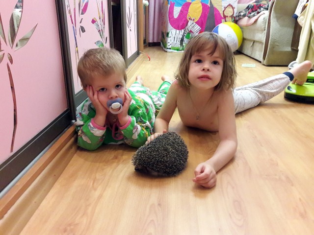 Руслан, Киев, м. Оболонь. Фото на сайте ГдеПапа.Ру