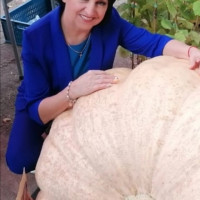 Елена, Россия, Самарская область, 60 лет