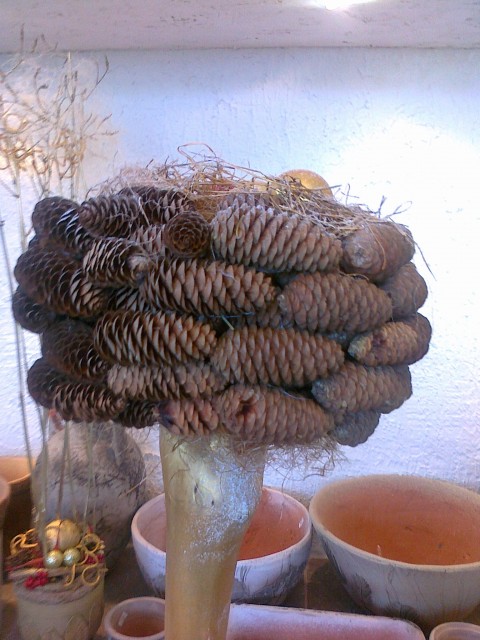 Анатолий Евтушок, Россия, Новосибирск. Фото на сайте ГдеПапа.Ру