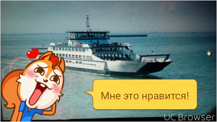 Юрий, Россия, Великий Новгород. Фото на сайте ГдеПапа.Ру