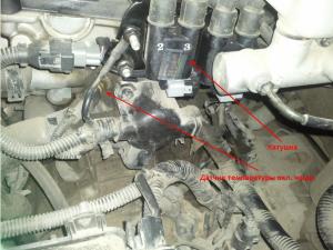 Виталий Бочков, Россия, Кингисепп. Фото на сайте ГдеПапа.Ру