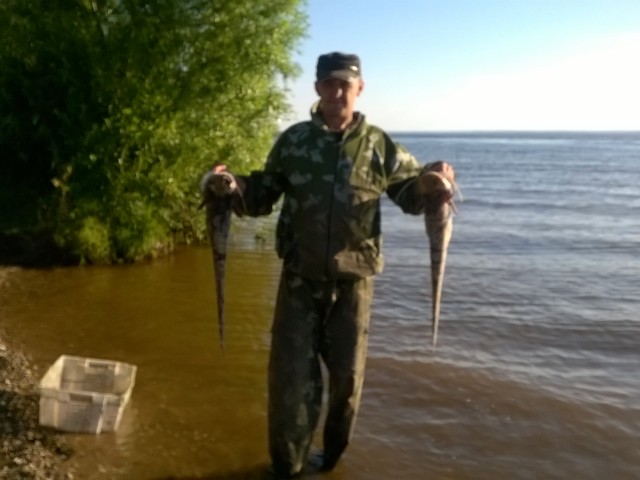 Miha, Россия, Москва. Фото на сайте ГдеПапа.Ру