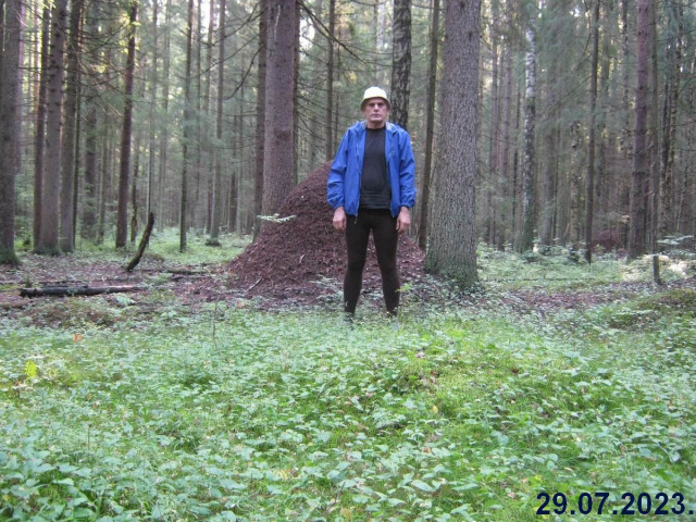 29.07.2023 - В лес за грибами на велосипеде, проехал и прошел в общим примерно 40 км.