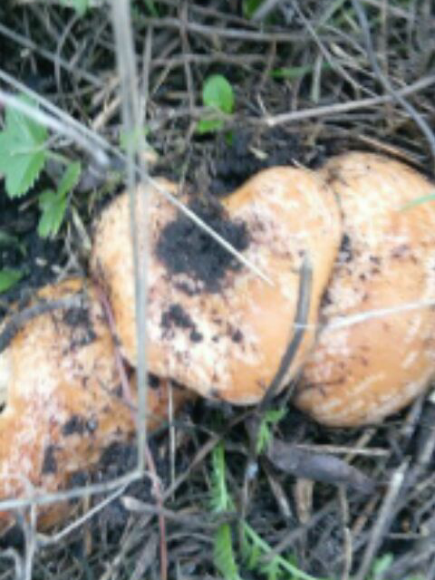 Валерий, Санкт-Петербург, м. Старая Деревня. Фото на сайте ГдеПапа.Ру