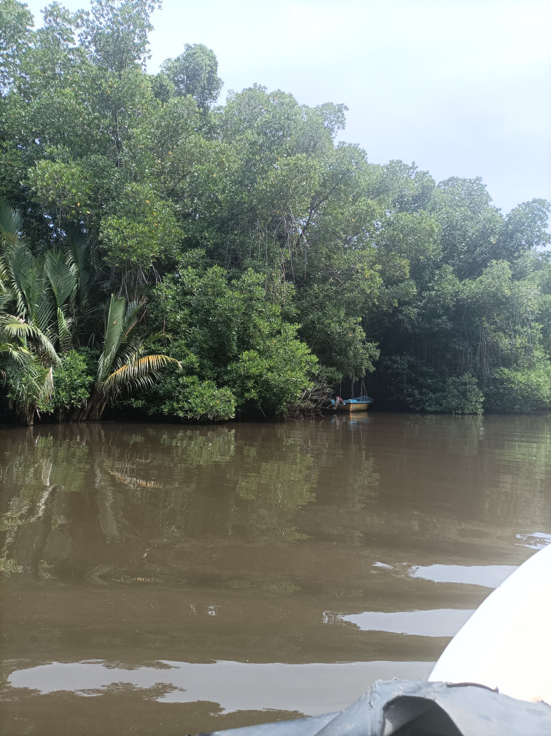 Отпуск на Шри - Ланке...
