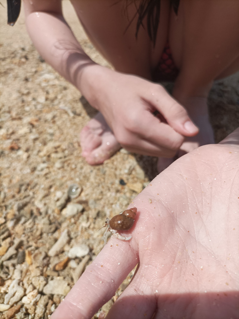 Отпуск на Шри - Ланке...