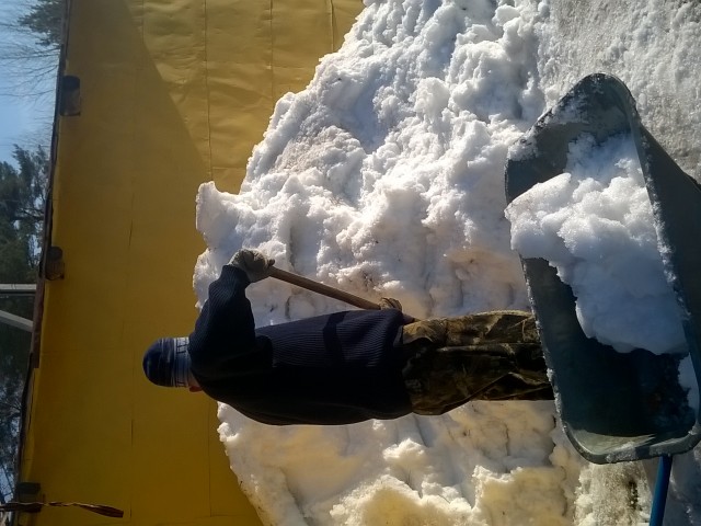 саня, Россия, Ярославль. Фото на сайте ГдеПапа.Ру