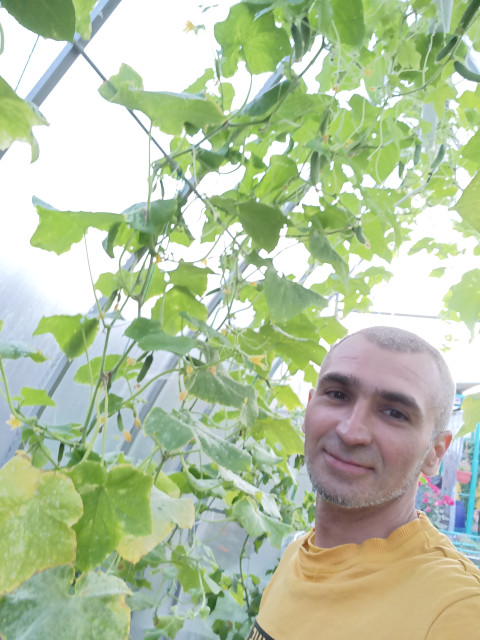 Дмитрий, Россия, Солнечногорск, 42 года. Ищу: 174 сантиметра доброты, оптимизма и целеустремлённости. Заводская прошивка обновлена, с root-правами...  Анкета 238394. 