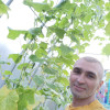 Дмитрий, Россия, Солнечногорск, 42