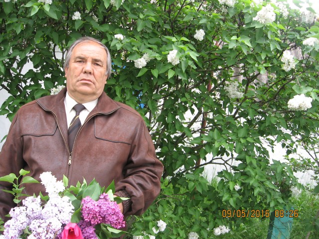Анатолий, Россия, Антрацит, 67 лет, 2 ребенка. Хочу найти женщину для создания семьинормальный
