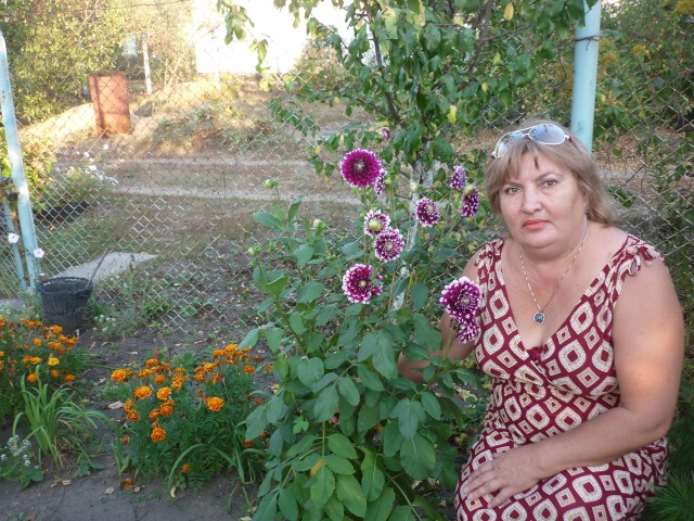 ольга вихарева, Россия, Воронеж, 62 года, 2 ребенка. похожего   доброго честного     хотелось бы   не местногодобрая     не воронежская      порядочная