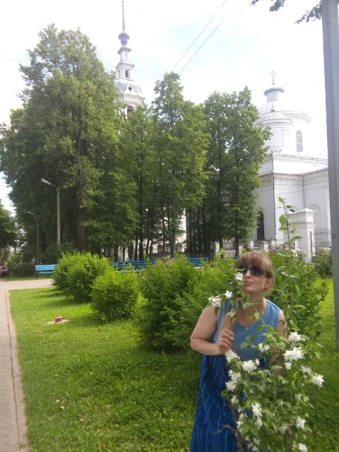 Запах жасмина очень нежен....