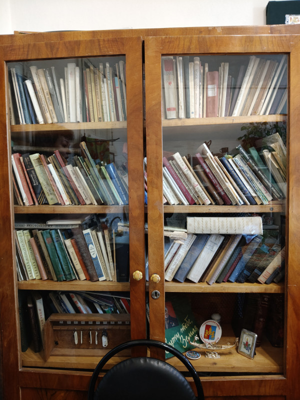 книжный шкаф в квартире Мордасовой