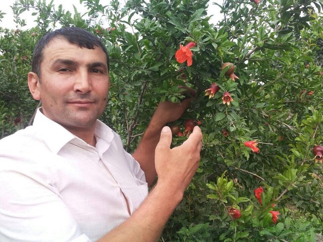 Rамин муставев, Казахстан, Алматы (Алма-Ата), 46 лет