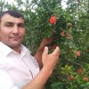Rамин муставев, 46, Казахстан, Алматы (Алма-Ата)