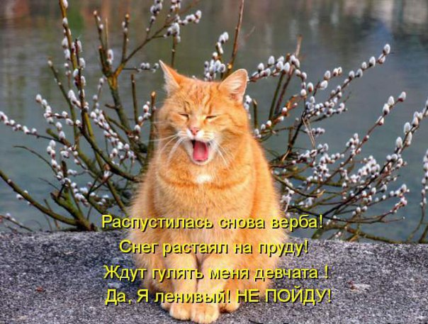 Всех свистать наверх! Ура!