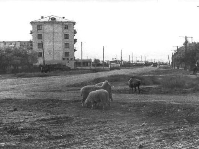 Igor, Казахстан, Астана. Фото на сайте ГдеПапа.Ру