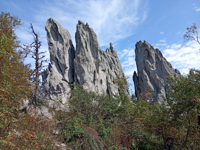 BORIS, Россия, Миасс. Фото на сайте ГдеПапа.Ру