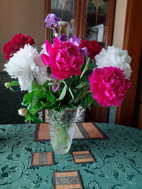 Мария, Россия, Москва. Фото на сайте ГдеПапа.Ру