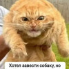 Иван, ОАЭ, Дубай, 46
