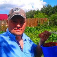 Дмитрий, Россия, Шаховская, 55 лет