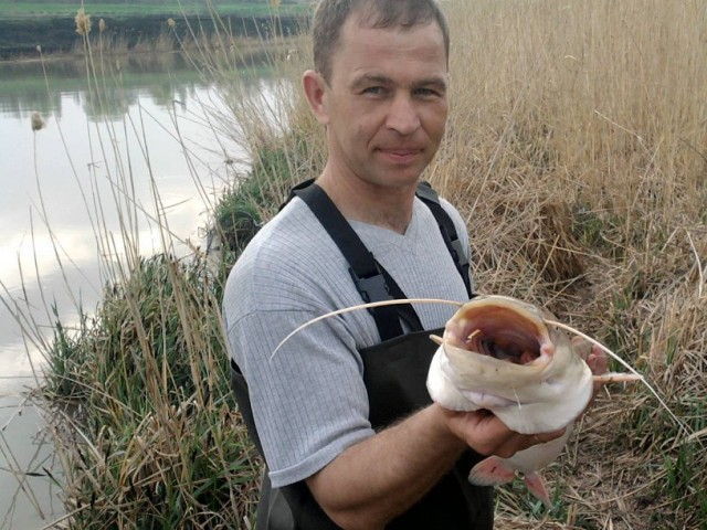 Олег, Россия, Ставрополь. Фото на сайте ГдеПапа.Ру
