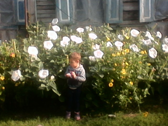 Любовь Викторовна, Россия, станица Милютинская (Милютинский район). Фото на сайте ГдеПапа.Ру