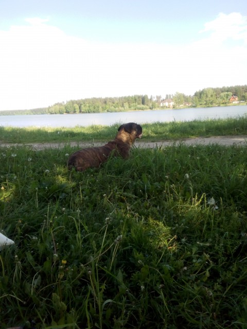 Татьяна, Россия, Москва. Фото на сайте ГдеПапа.Ру