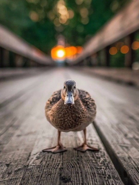 Владимир, Россия, Москва. Фото на сайте ГдеПапа.Ру