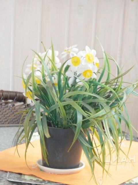 Владимир, Россия, Москва. Фото на сайте ГдеПапа.Ру