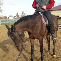 Сергей, Россия, Тюмень, 51 год