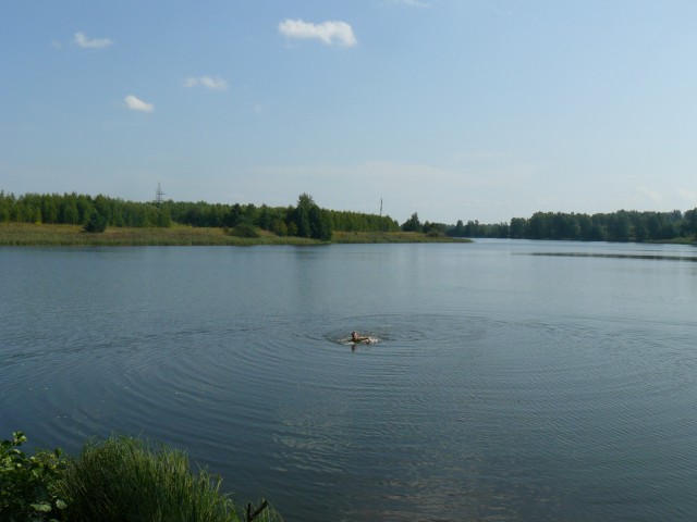 Роман, Россия, Нижний Новгород. Фото на сайте ГдеПапа.Ру