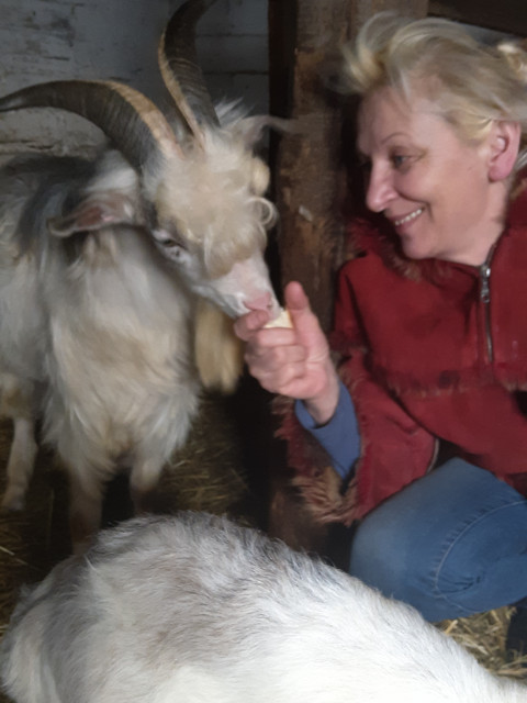 Любовь зла. Полюбила я Козла)))