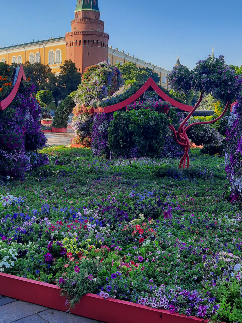 Виктор, Россия, Москва. Фото на сайте ГдеПапа.Ру