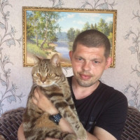 вячеслав, Россия, Саратов, 37 лет