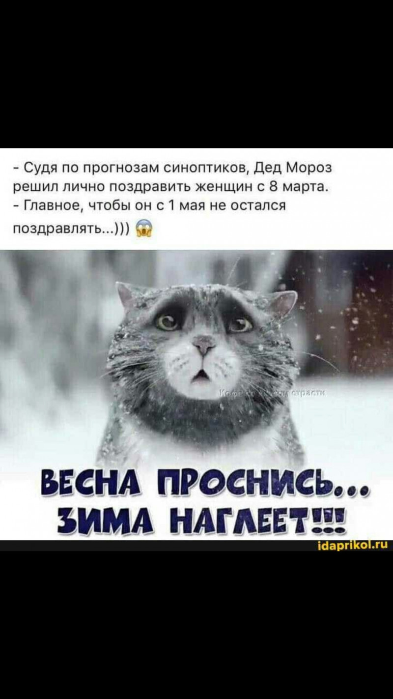 Зима проснулась