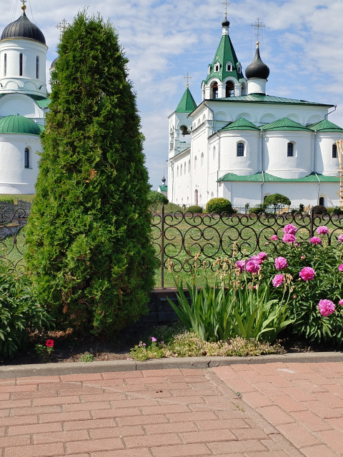 Дмитрий, Россия, Меленки. Фото на сайте ГдеПапа.Ру
