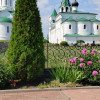 Дмитрий, Россия, Меленки. Фотография 1816952